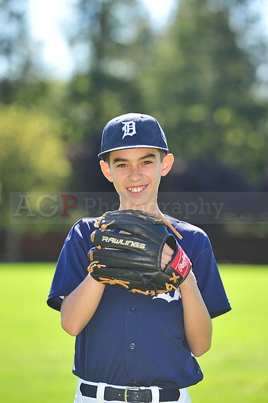 MTigers033