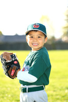 TBTinCaps012