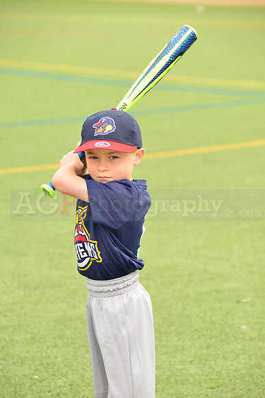 SB_TB_mudhens00070