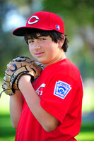 2011 Major Reds