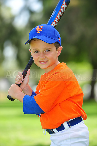 Farm_Mets107