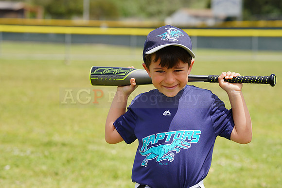 AGP09155