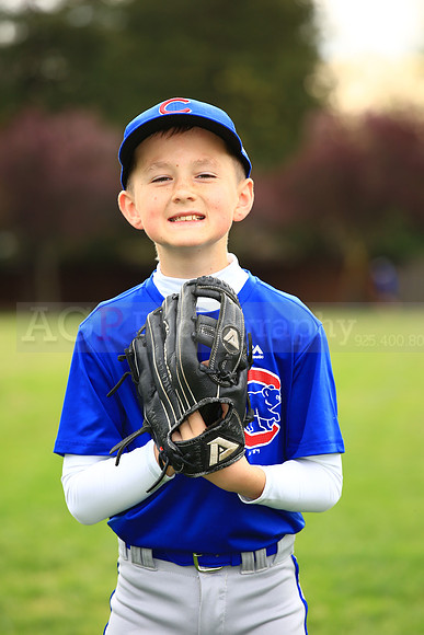 AACubs066