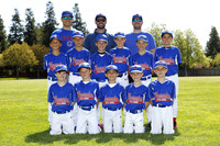 AA CUBS