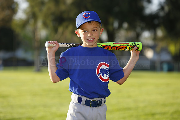 FarmCubs060