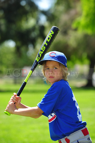 AACubs022