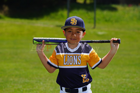 SB_PW_Lions036