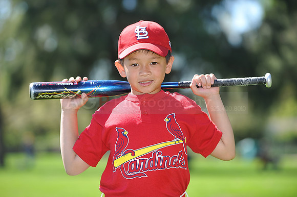 A_Cardinals091