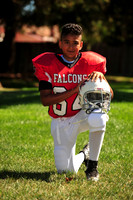 Falcons004