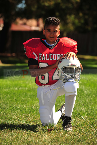 Falcons004