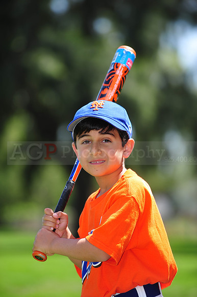 Farm_Mets040
