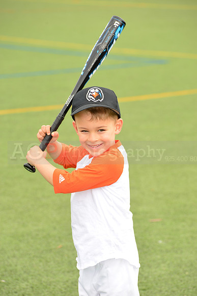 SB_TB_Ironbirds00089