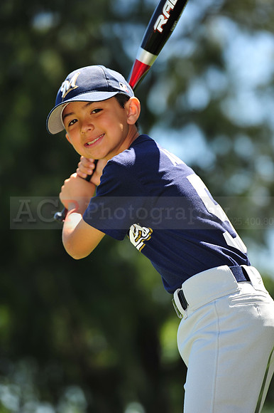 AA Brewers058