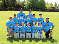 AA RAYS