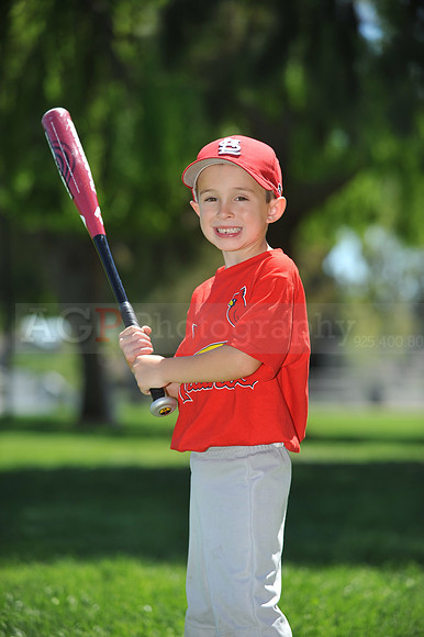 Farm_Cardinals103