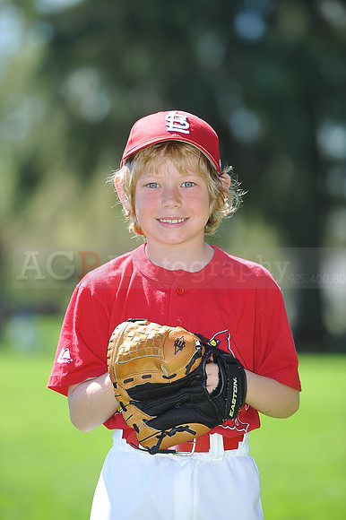 A_Cardinals095