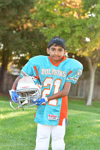 Dolphins109