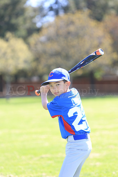 AAACubs050