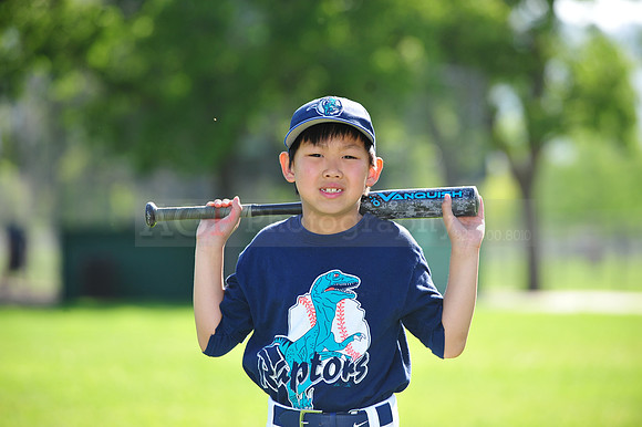 ARaptors053