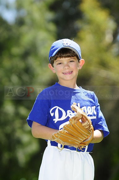 FarmDodgers029