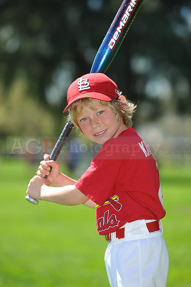 A_Cardinals098