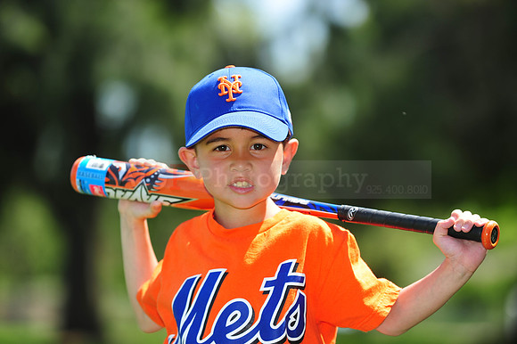 Farm_Mets033