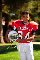 Falcons002