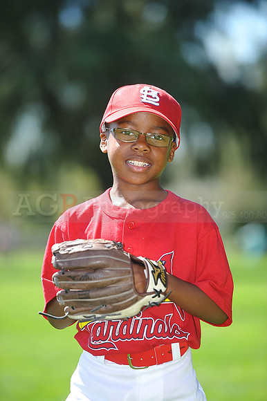 A_Cardinals024