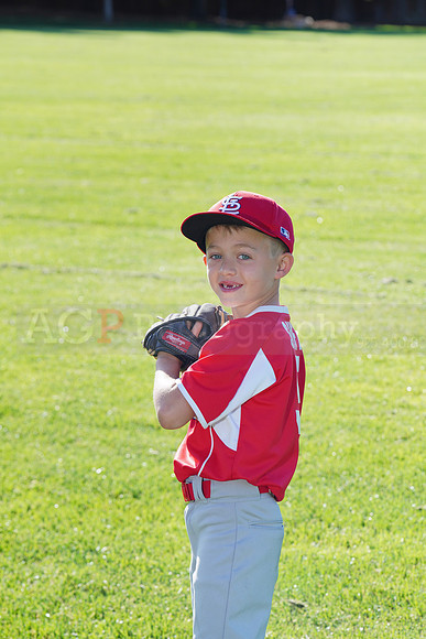 PLL_A_Cardinals00012