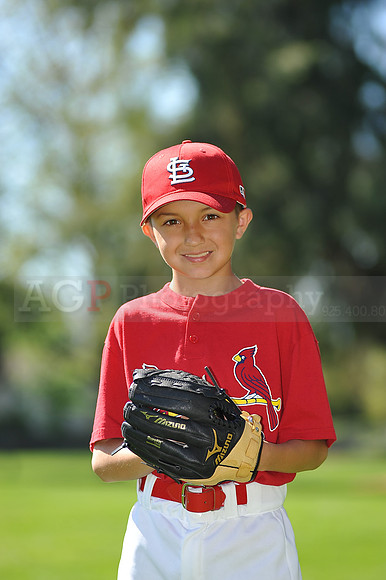 AA_Cardinals026