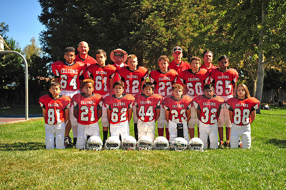 Falcons074