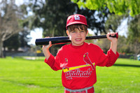 TBCardinals016