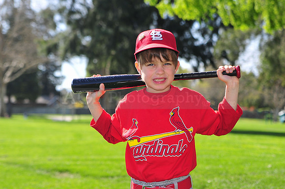 TBCardinals016