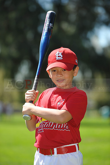 A_Cardinals090