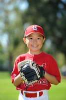 AA_Cardinals019