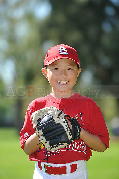 AA_Cardinals019