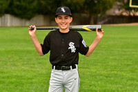 MWhiteSox011