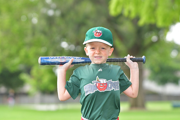 TBTincaps017