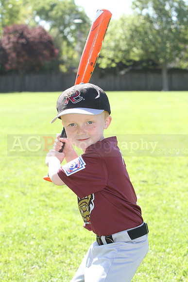 FMTimberRattlers031