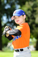 2011 FARM METS