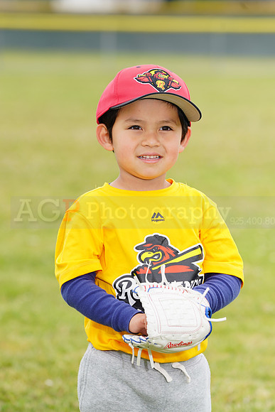 AGP08929