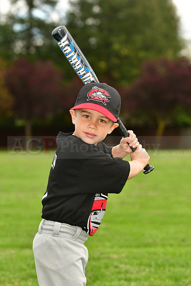 FMMudcats011