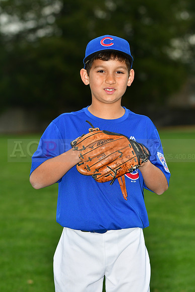 AACubs033