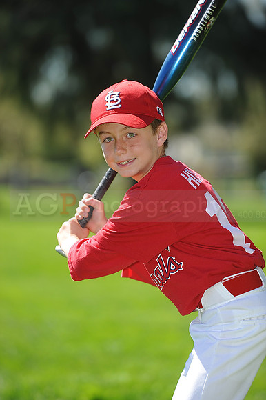 A_Cardinals046