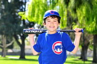FMCubs013