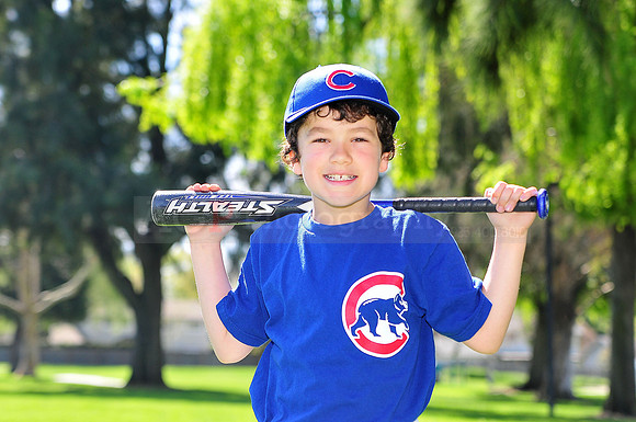 FMCubs013