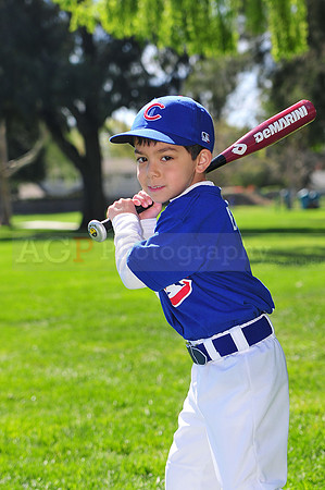 FMCubs026