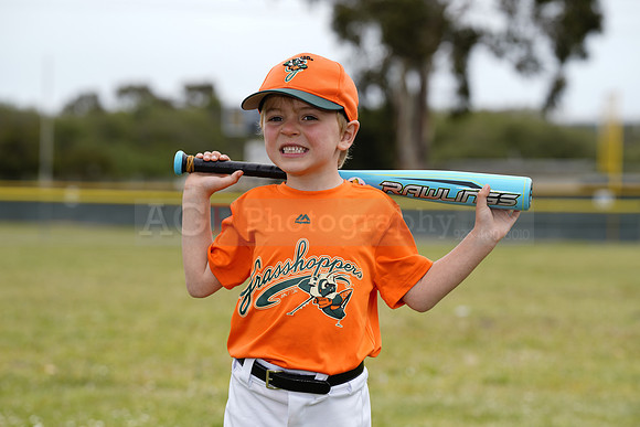 TBGrasshoppers00054