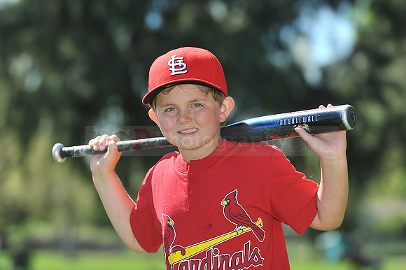 A_Cardinals073