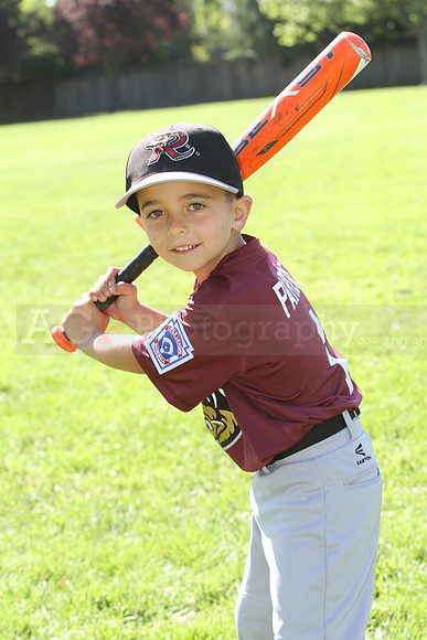 FMTimberRattlers040